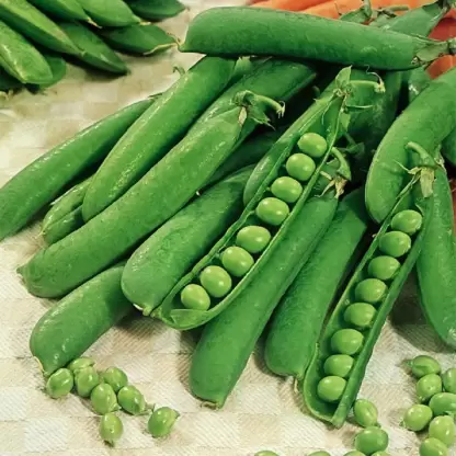 Peas