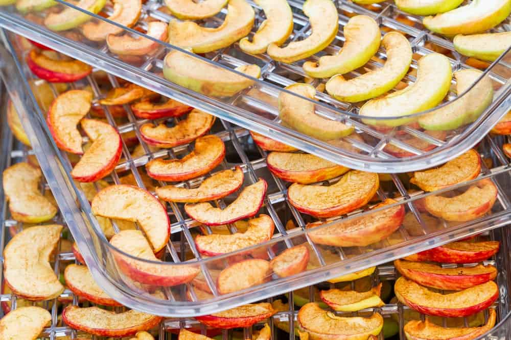 Food Dehydrator