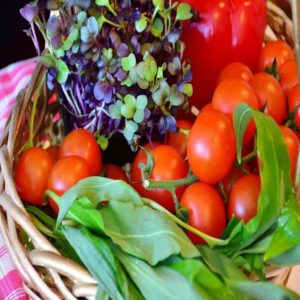 Future of Food Containers