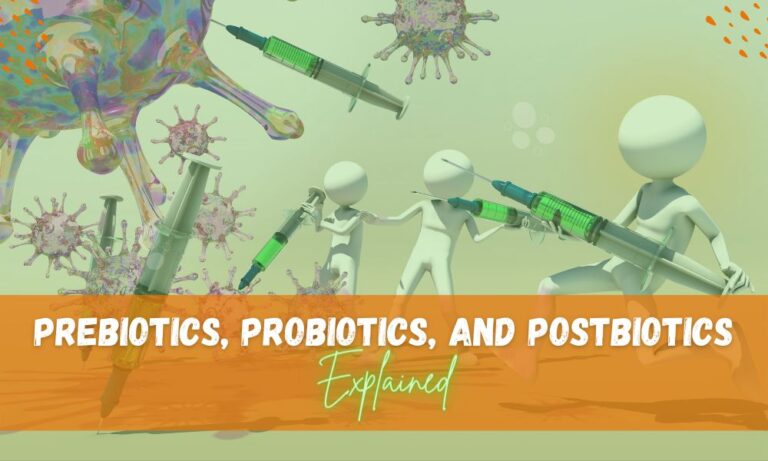 Decoding the Distinction Between Prebiotics, Probiotics, and Postbiotics