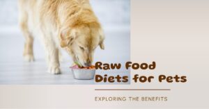 Exploring the Benefits of Raw Food Diets for Pets